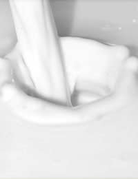 Soy Milk Soybean Genetically Modified