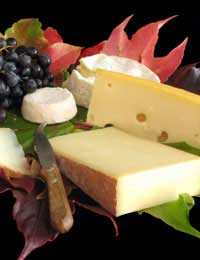 Vegetarian Cheese Enzyme Rennet Animal