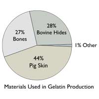 Vegetarian Vegan Tallow Animal Fat